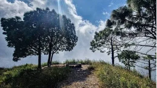Gilbert Trail